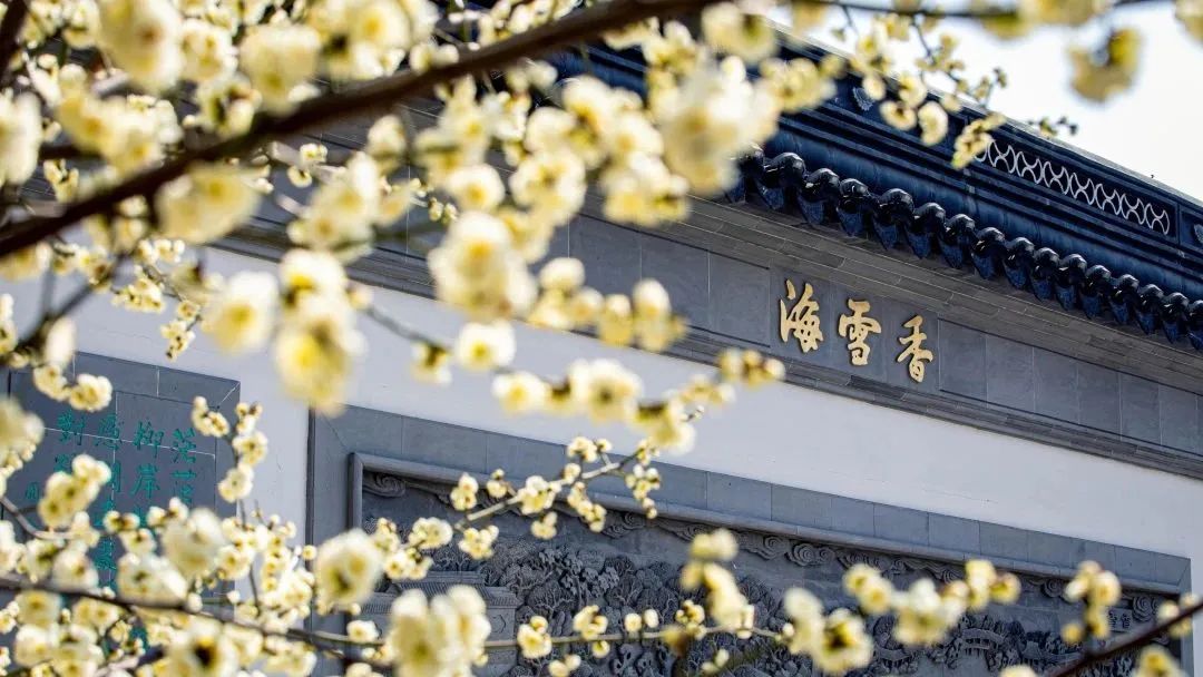 圖源：南京大學(xué)官方公眾號