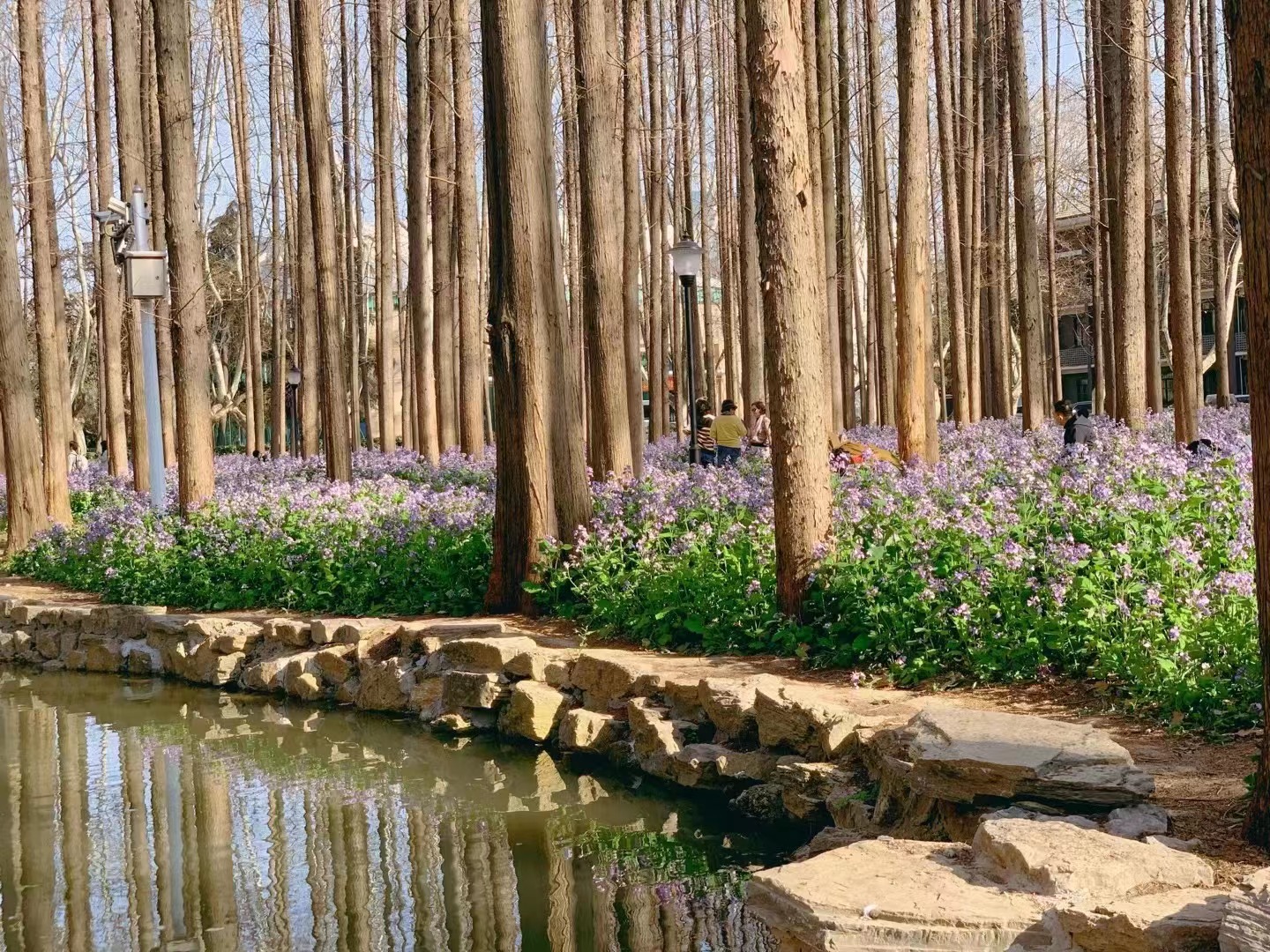 圖源：南京理工大學(xué)公共事務(wù)學(xué)院副教授沈捷